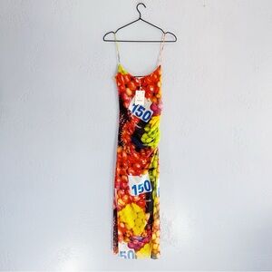 Zara Fruit Mesh Maxi Dress Size Small
